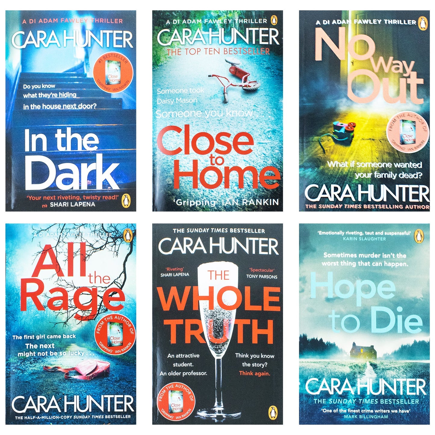 Cara Hunter Di Fawley Series 6 Books Collection Set (All The Rage, In The Dark, Close To Home, No Way Out, The Whole Truth, Hope to Die)