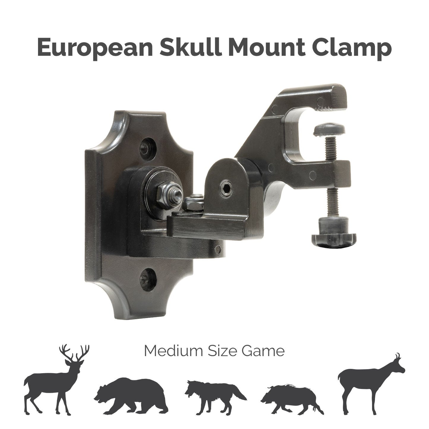 European Skull Mount Clamp