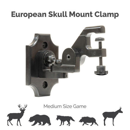 European Skull Mount Clamp