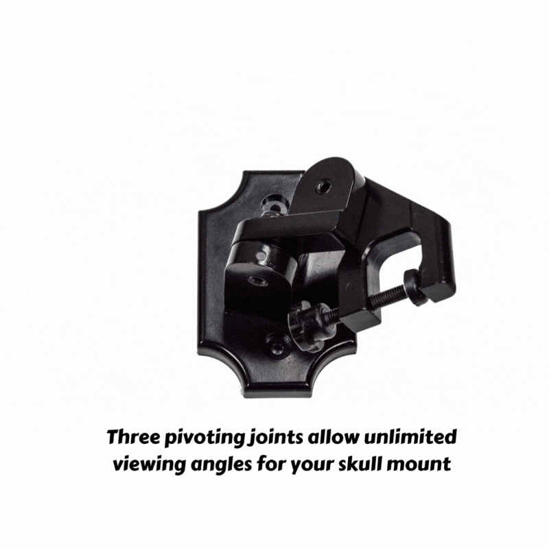 European Skull Mount Clamp
