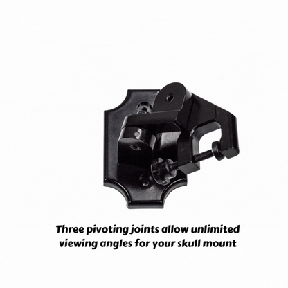 European Skull Mount Clamp