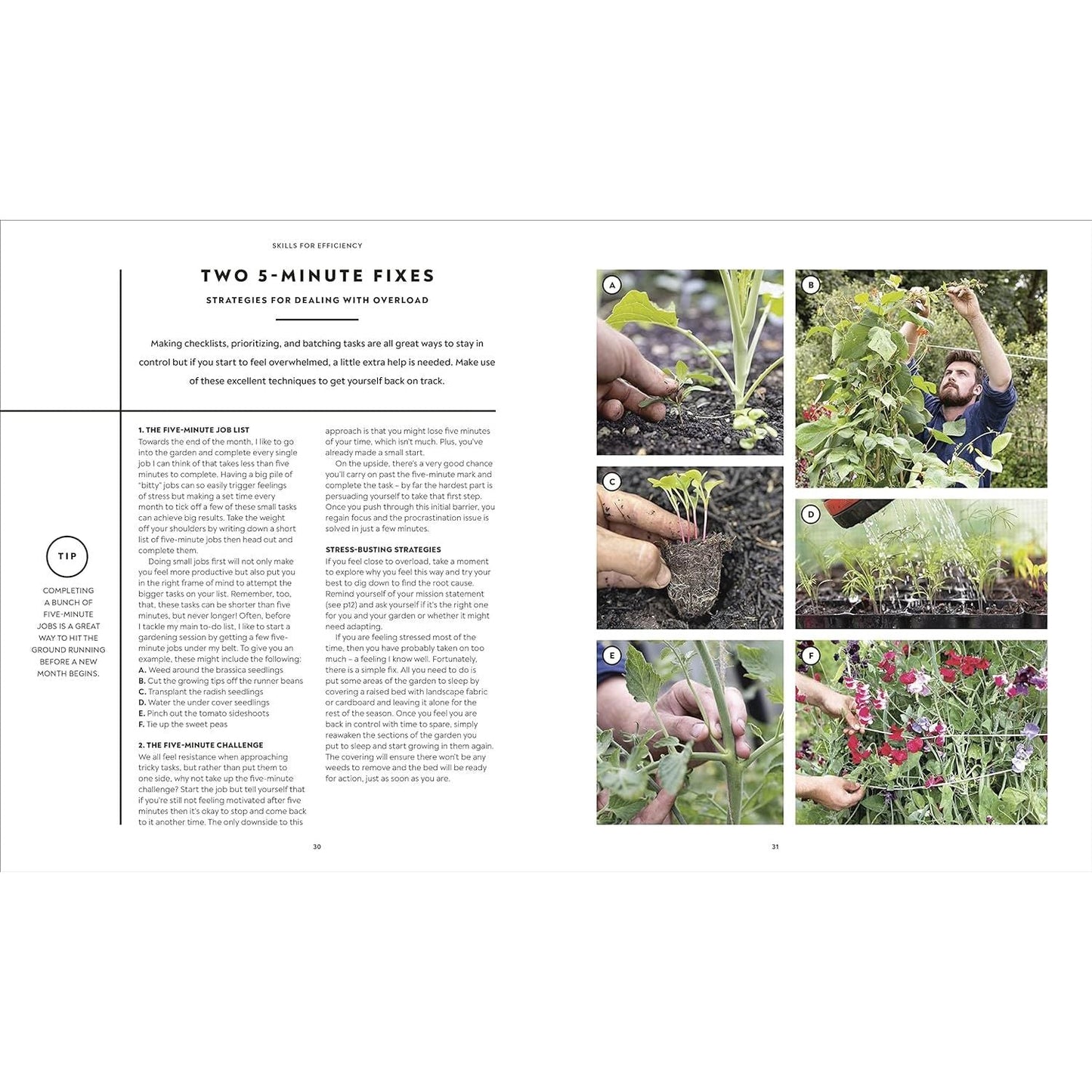 The Vegetable Grower's Handbook: Unearth Your Garden's Full Potential by Huw Richards