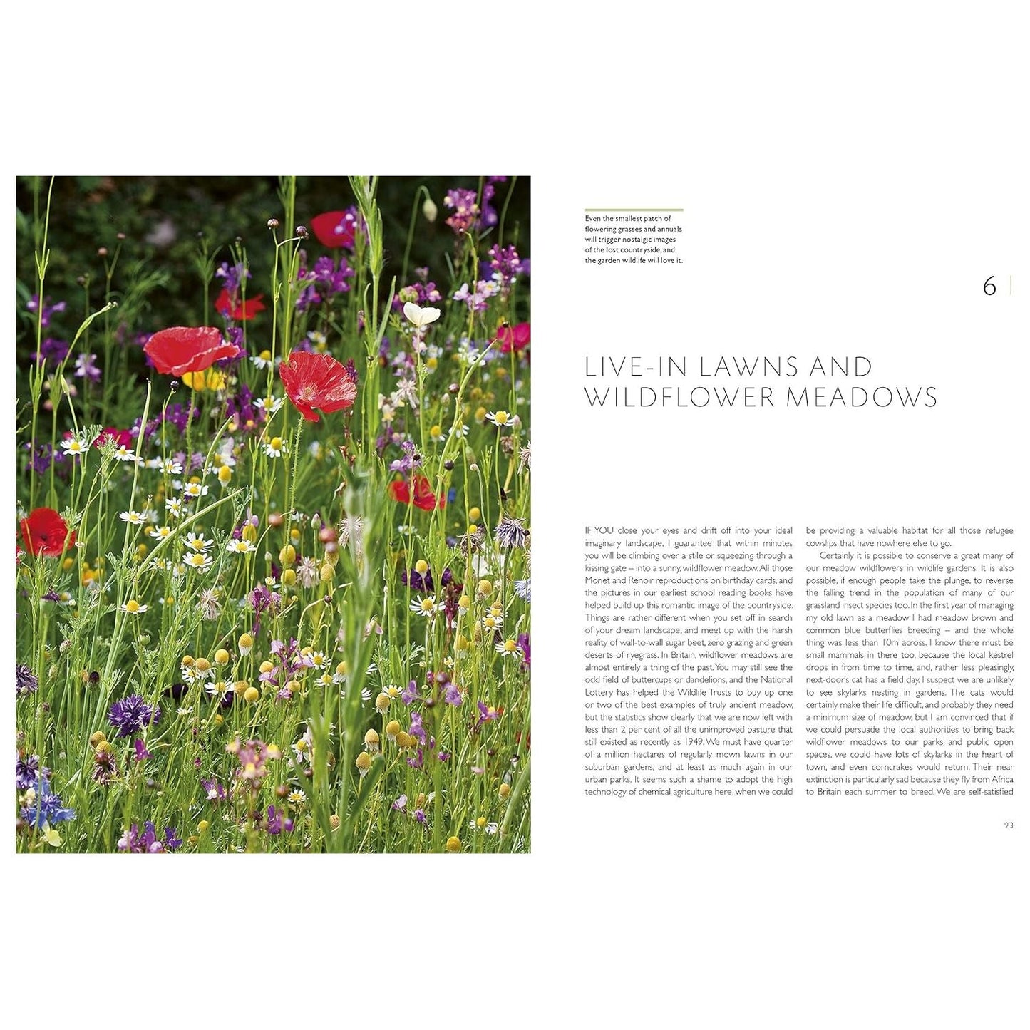 RHS Companion to Wildlife Gardening by Chris Baines