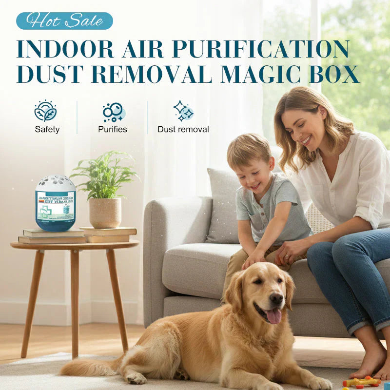 🔥2026 New Collection - Limited-Time Pre-Sale⏰Indoor Air Purification Dust Removal Magic Box🏠🌿